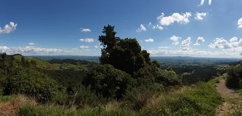 Kaimai Mamaku Lookout, North Island, New Zealand