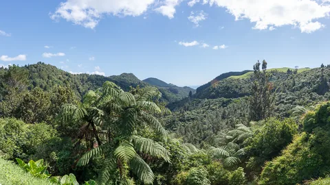 North Island, New Zealand