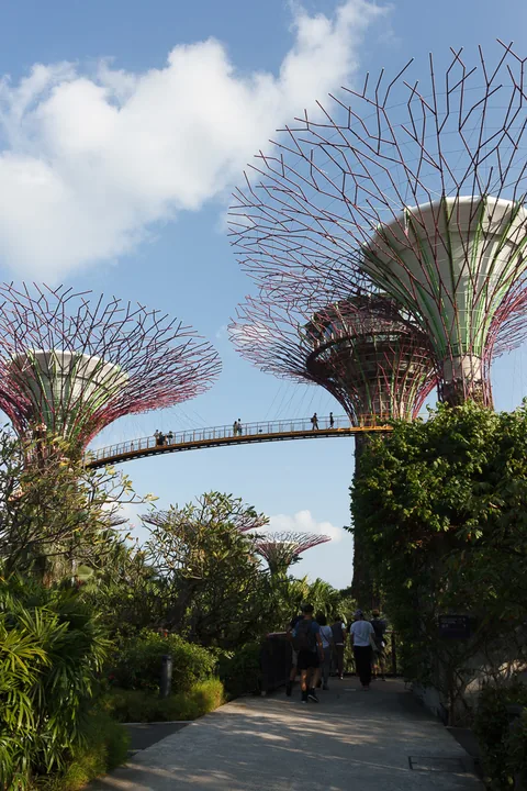 Gardens by the Bay, Singapore