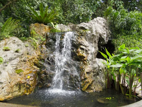 Botanic Gardens, Singapore