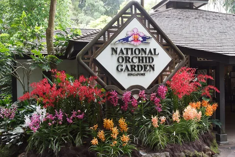 National Orchid Garden, Singapore