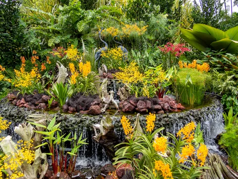 National Orchid Garden, Singapore