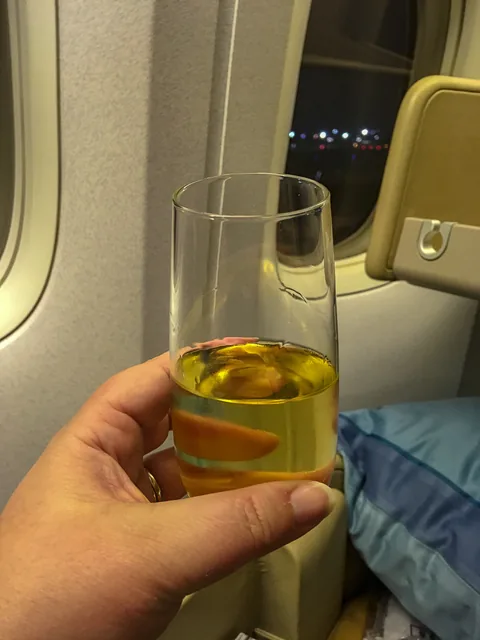 Videre til New Zealand, igen på Business Class hos Singapore Airlines