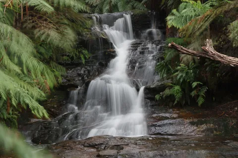 Blue Mountains National Park, New South Wales, Australien