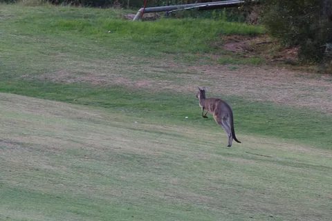 Stirling Golf Club, South Autralia, Australien