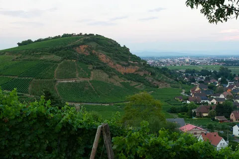 Skønne dejlige Alsace
