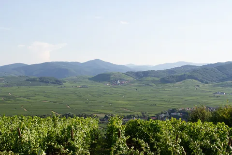 Skønne dejlige Alsace