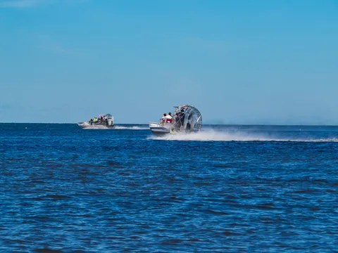 Alligatortur med Airboat Adventures, New Orleans, Louisiana, USA