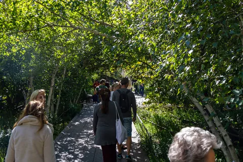 Vandretur på Highline Park, gammel hævet godstogsspor lavet om til park, New York, USA