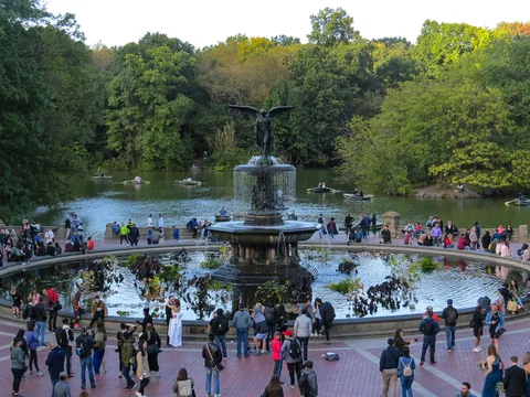 Vandretur i Central Park, New York, USA