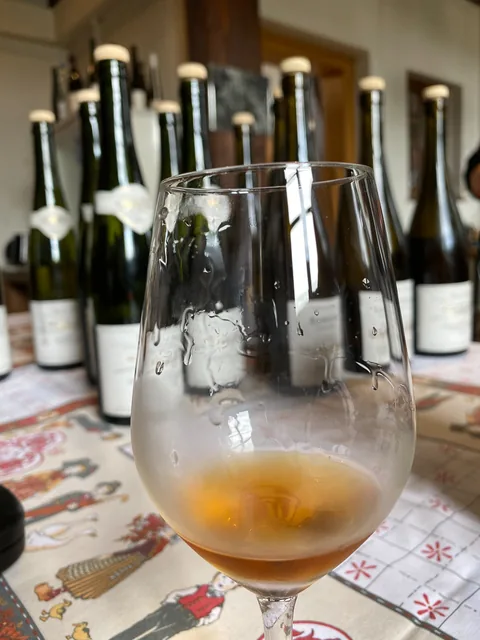 Vinsmagning hos Domaine Schoffit, Colmar, Alsace