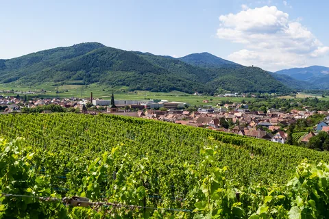 Grand Cru Brand, Turckheim, Alsace