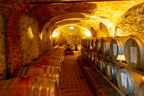 Poderi Luigi Einaudi, Piemonte, Italien