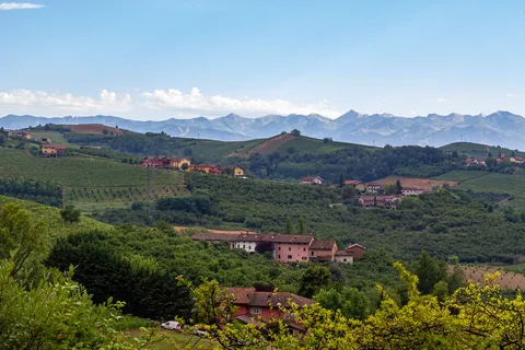 Poderi Luigi Einaudi, Piemonte, Italien