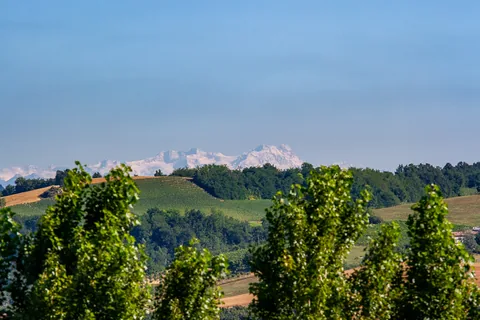 Monte Rosa massivet 150-200 km væk, set fra Poderi Luigi Einaudi, Piemonte, Italien