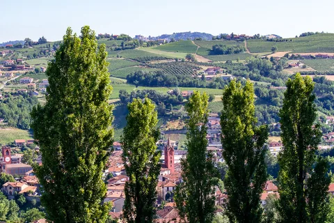 Poderi Luigi Einaudi, Piemonte, Italien