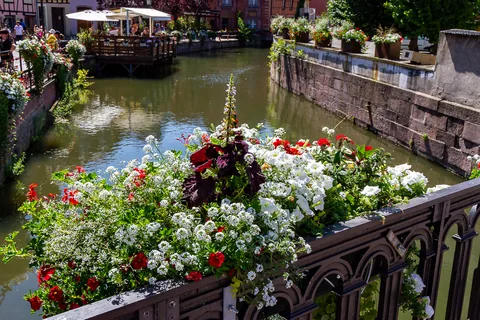 Colmar, Alsace, Frankrig