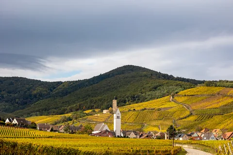 Smukke Katzental midt i vinmarkerne.