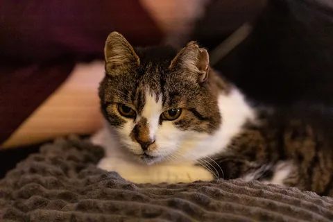 20221218-214132-0008_Canon-EOS-R6